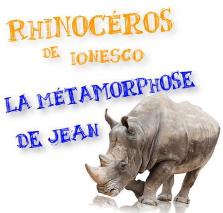 dissertation sur rhinoceros ionesco