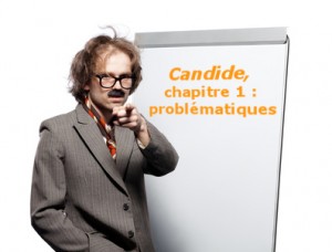 candide chapitre 1 icitpit (Voltaire) : problématiques
