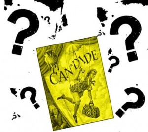 test candide voltaire