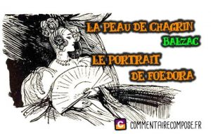 la peau de chagrin dissertation plan