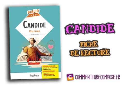introduction dissertation candide