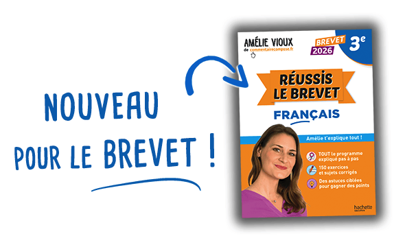Gnathon Les Caract res La Bruy re Portrait Satirique Gnathon Les Caract res La Bruy re Portrait Satirique